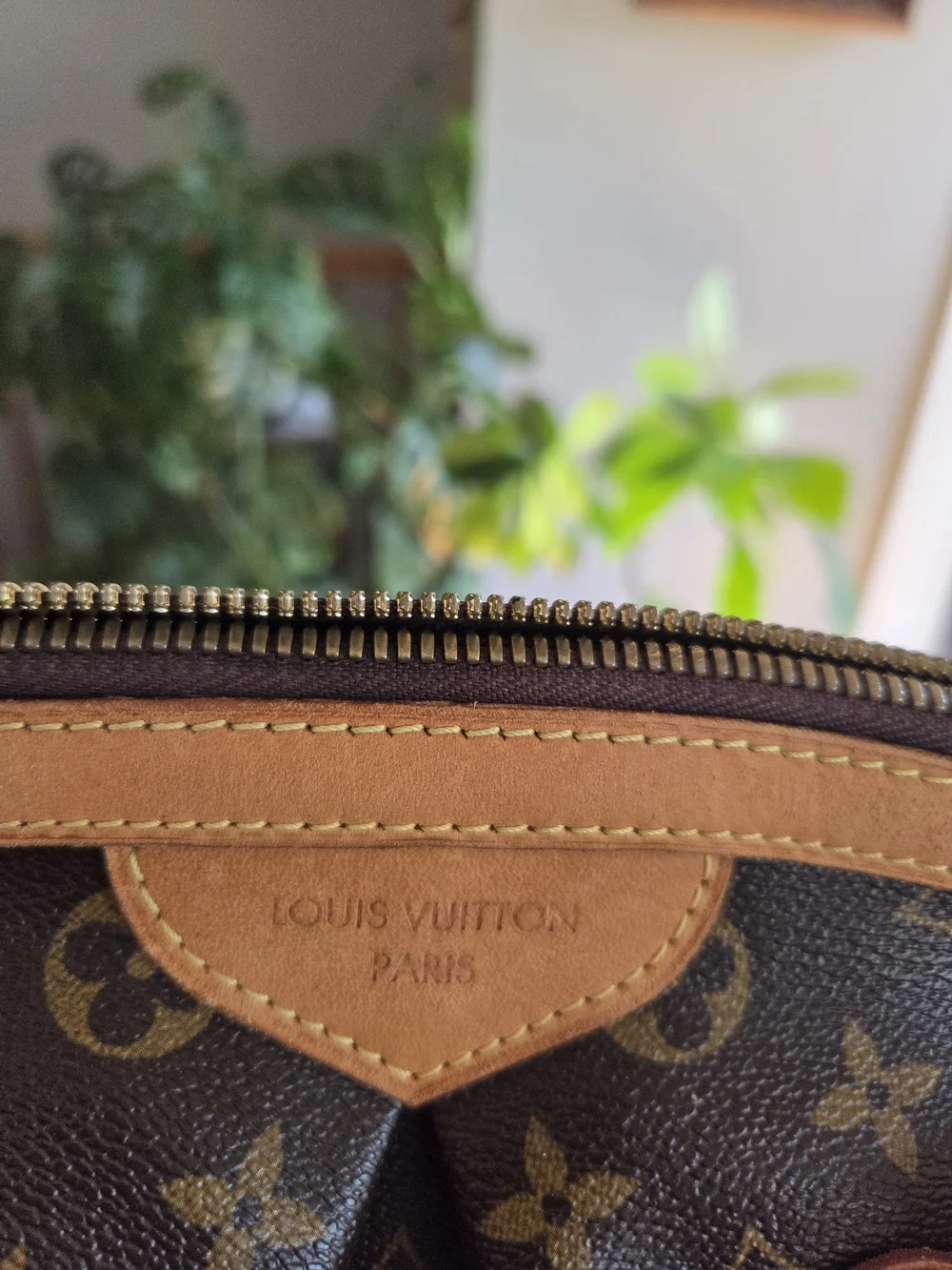 Louis Vuitton classic louis